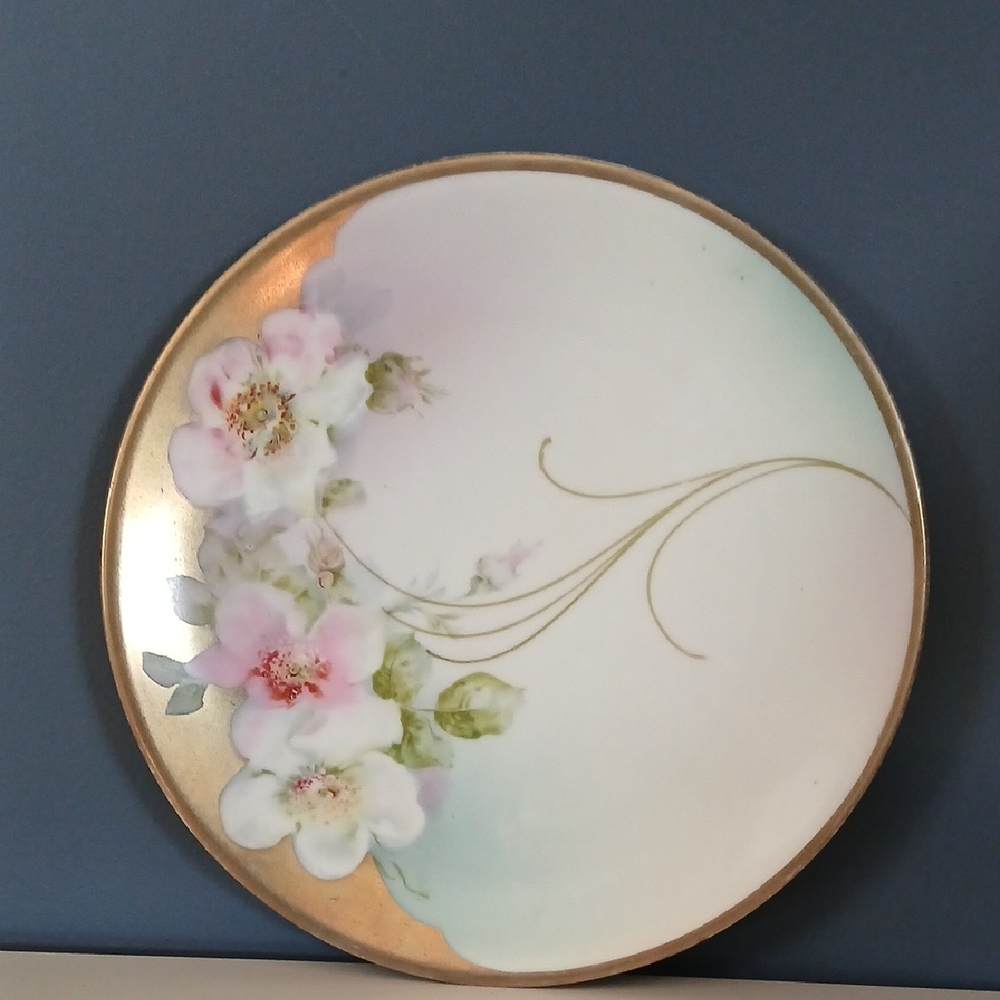 Hand Painted VTG Plate
